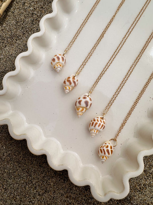 Spotted Seashell Necklace